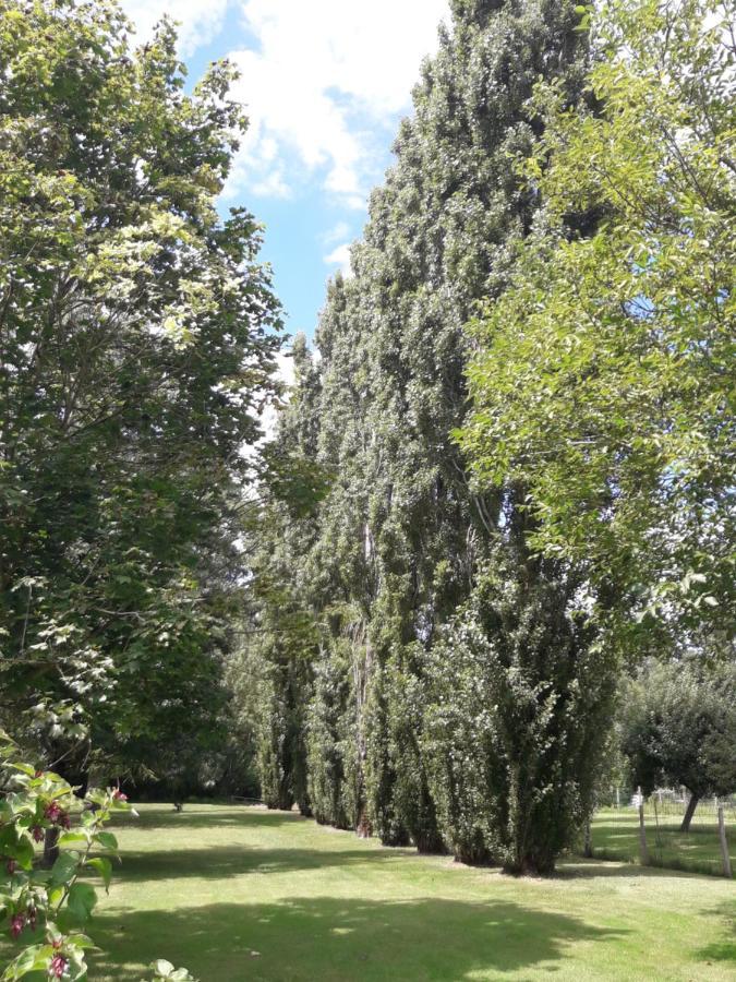 Logis De Lange Studio 2 P Saint-Hilaire-la-Palud Екстер'єр фото