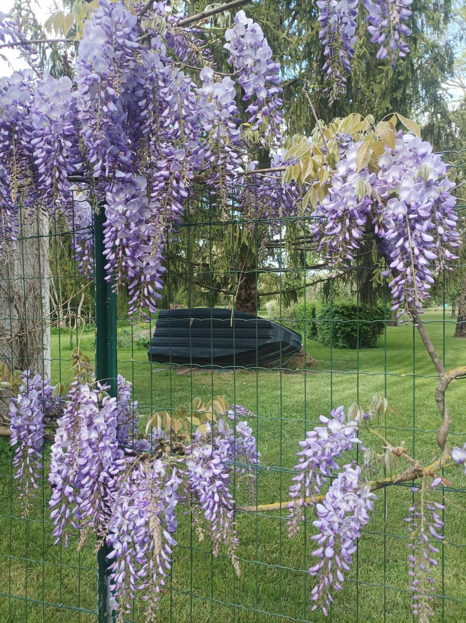 Logis De Lange Studio 2 P Saint-Hilaire-la-Palud Екстер'єр фото